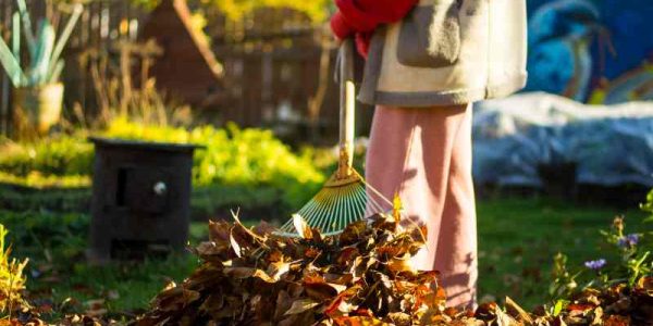 Jak przygotować swój ogród na nadejście jesieni