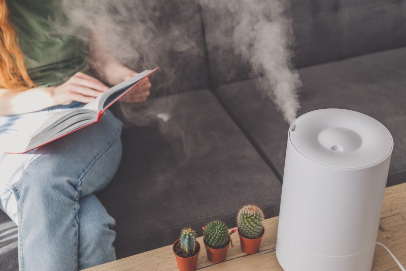 Jak utrzymać odpowiednią wilgotność w pomieszczeniach przy pomocy nawilżacza lub jonizatora powietrza
