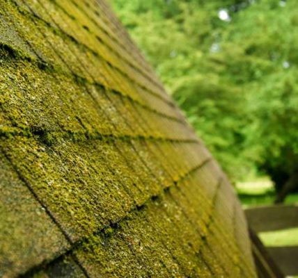 Wytyczne dotyczące naprawy przestarzałych pokryć dachowych w zależności od ich typu