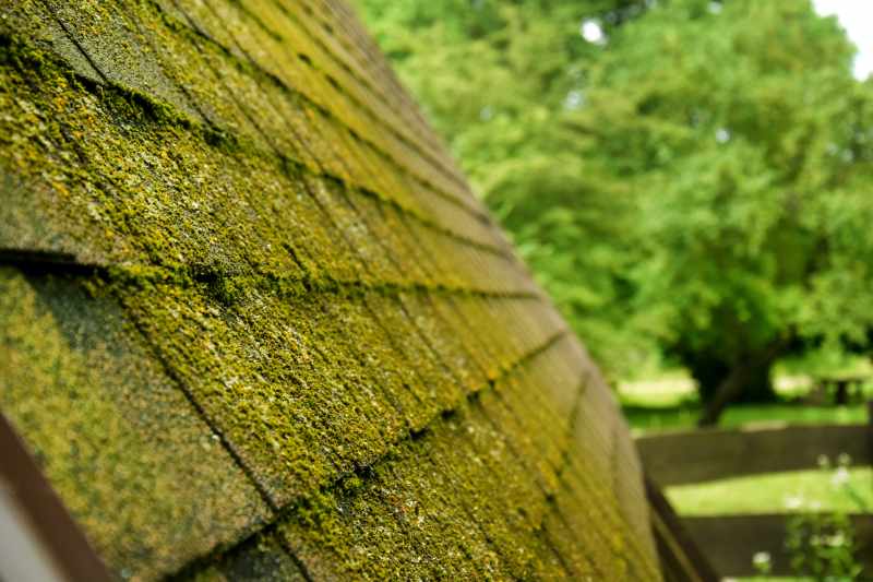 Wytyczne dotyczące naprawy przestarzałych pokryć dachowych w zależności od ich typu
